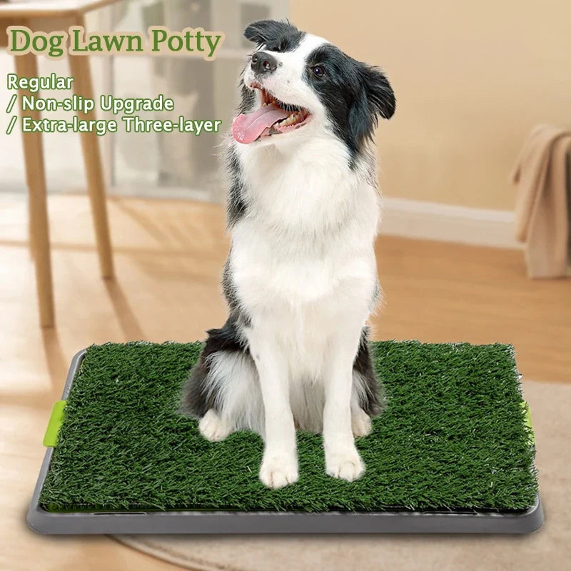 Toilettes pour Chiens - My adorable dog toilet !