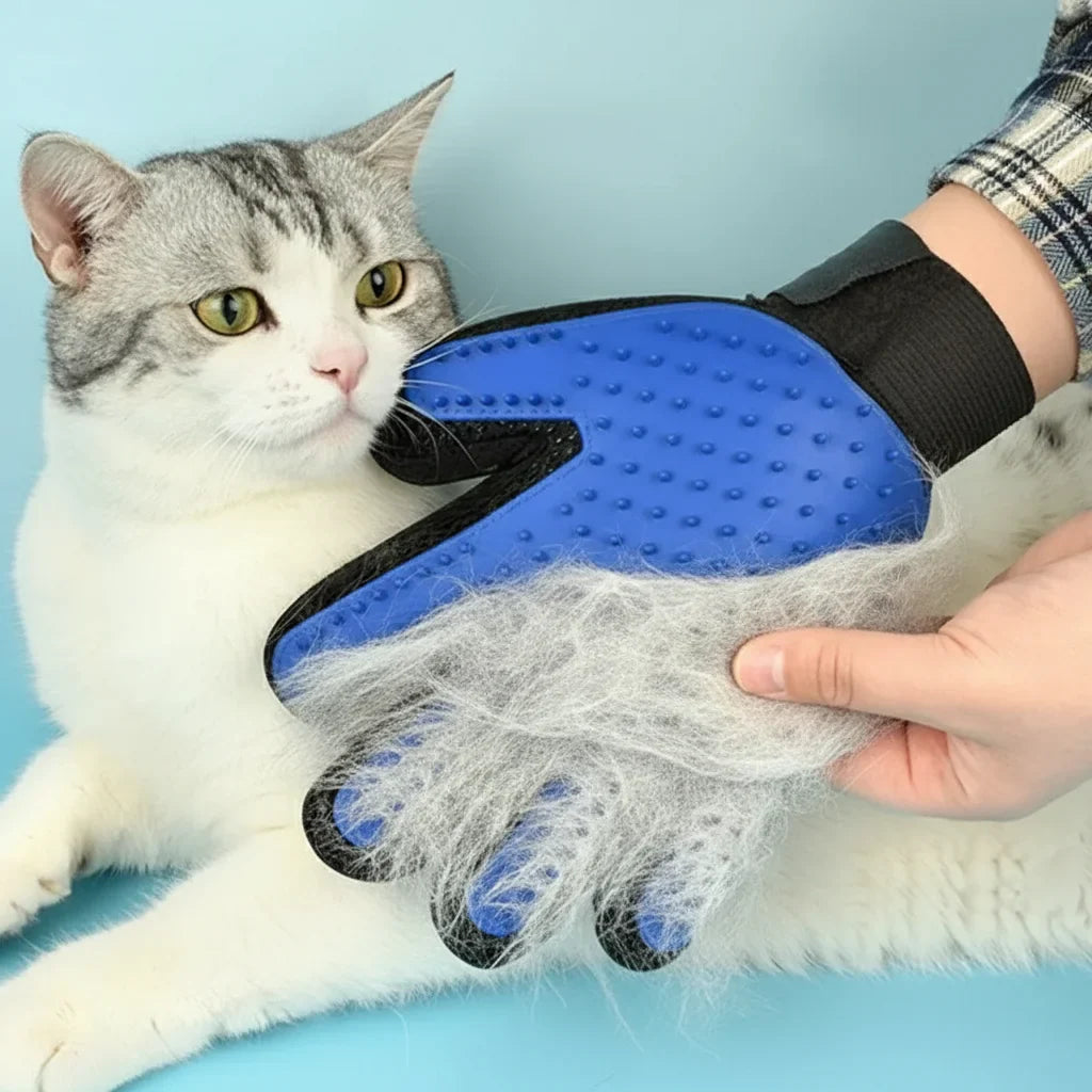 Gant de toilettage silicone - utilisation sur chat pour enlever les poils"