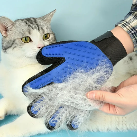 Mon gant de Toilettage en Silicone – My Grooming Glove !