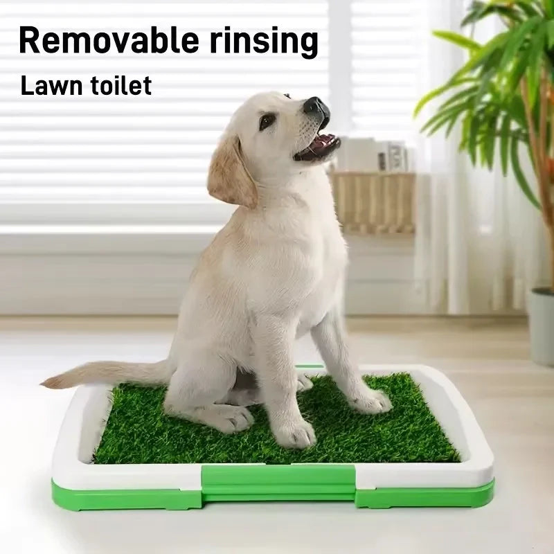 Toilettes pour Chiens - My adorable dog toilet !