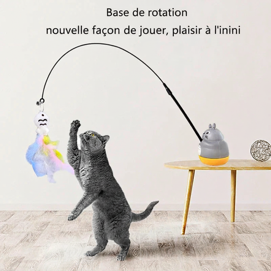 Photo 4 - Base de rotation